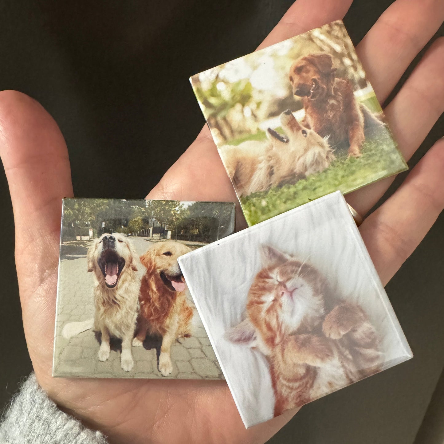 3 Pack Magnets