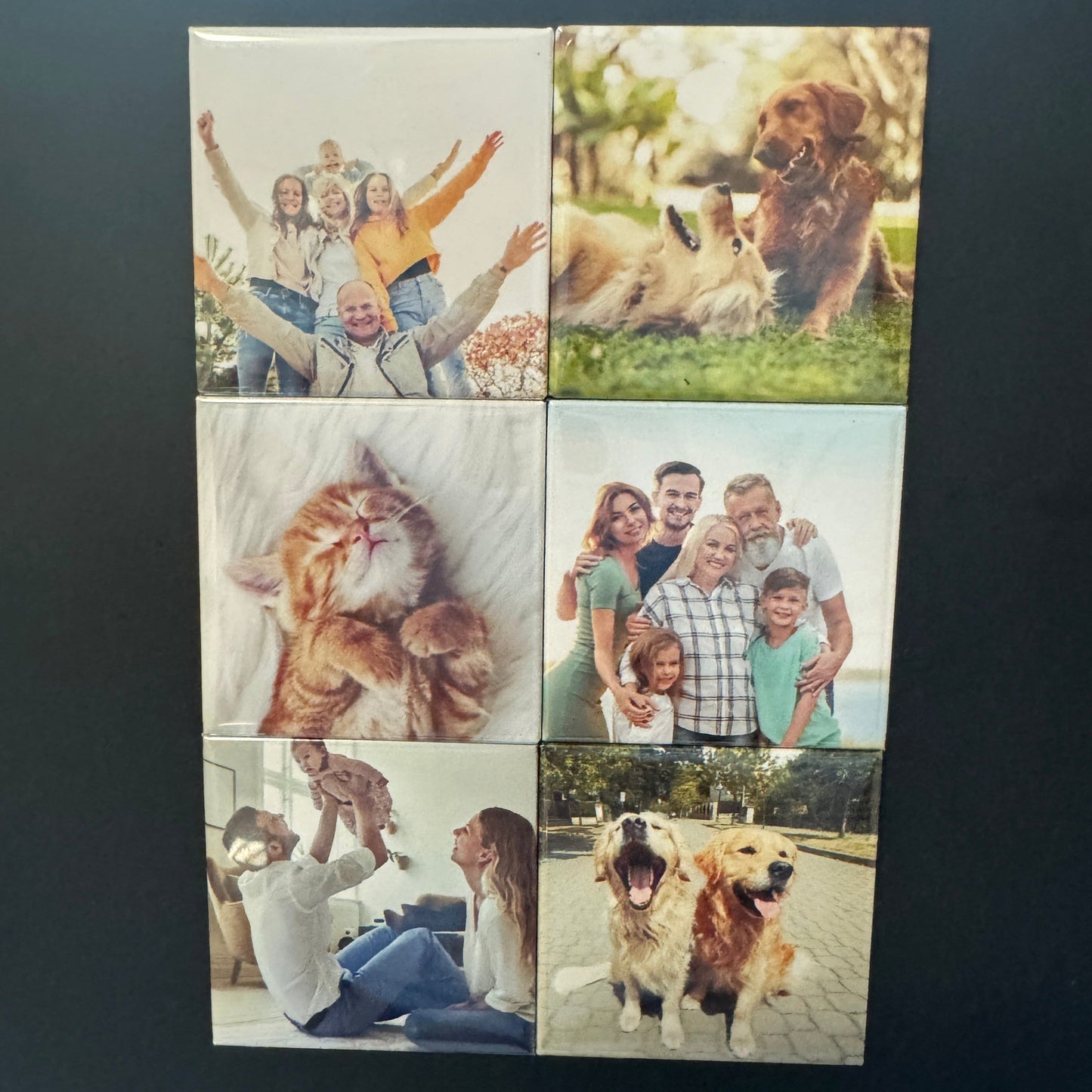 6 Pack Magnets